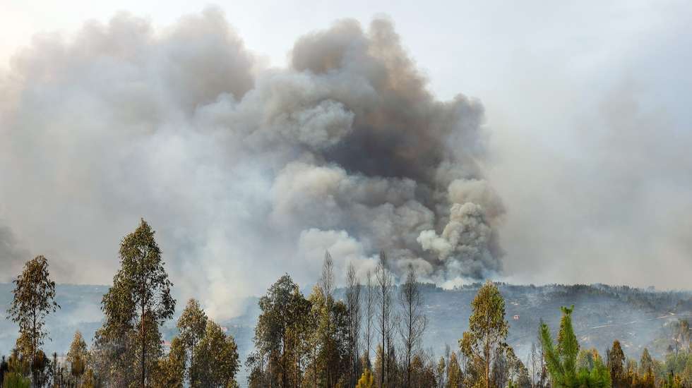 Coluna de fumo durante o incêndio que consome floresta em Ervedal da Beira, Oliveira do Hospital, 19 de setembro de 2025. O fogo que lavra desde a tarde de hoje em Oliveira do Hospital, no distrito de Coimbra, obrigou à retirada de mais de duas dezenas de pessoas das suas casas. PAULO NOVAIS/LUSA