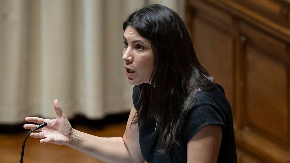 A deputada pediu para que, caso se confirme a denúncia, o Governo português deve retirar o pavilhão português deste e de outros navios