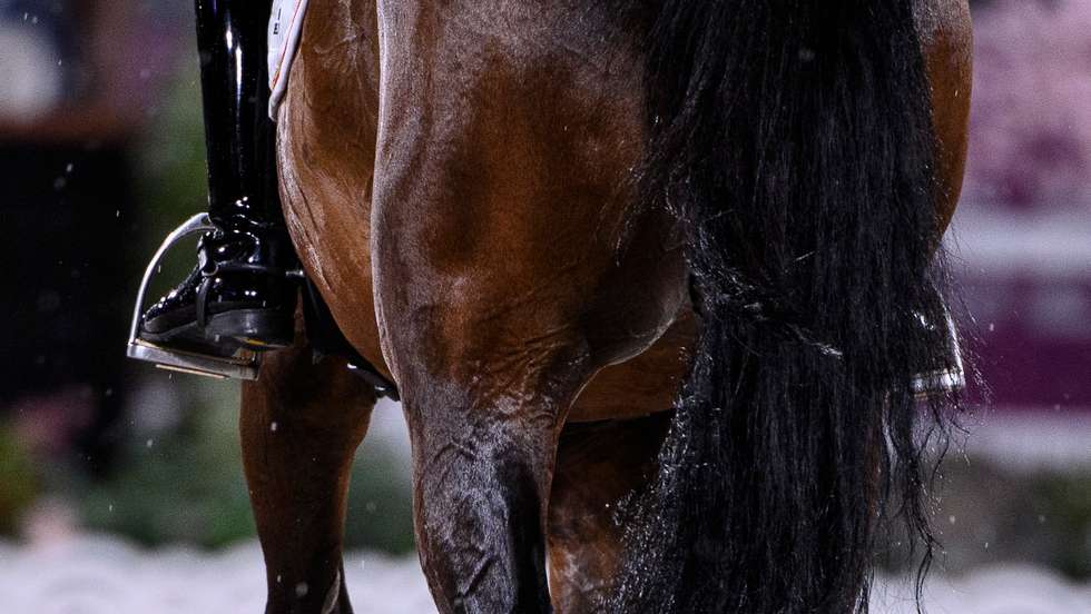 epa09362296 Larissa Pauluis of Belgium riding Flambeau performs in the Dressage Team competition during the Equestrian events of the Tokyo 2020 Olympic Games at the Baji Koen Equestrian Park in Setagaya, Tokyo, Japan, 24 July 2021.  EPA/CHRISTIAN BRUNA
