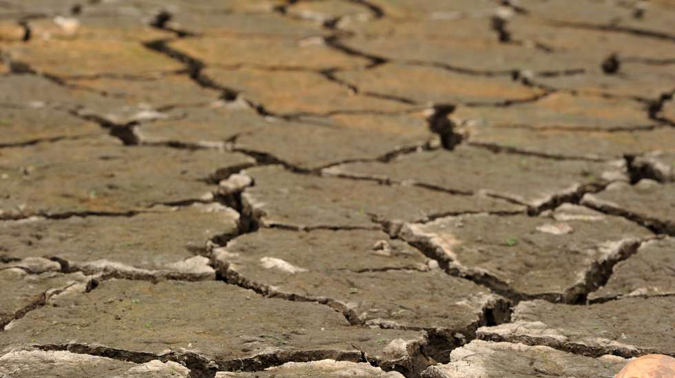 IPMA aponta também para uma probabilidade superior a 80% de se verificar um fenómeno de El-Niño muito forte