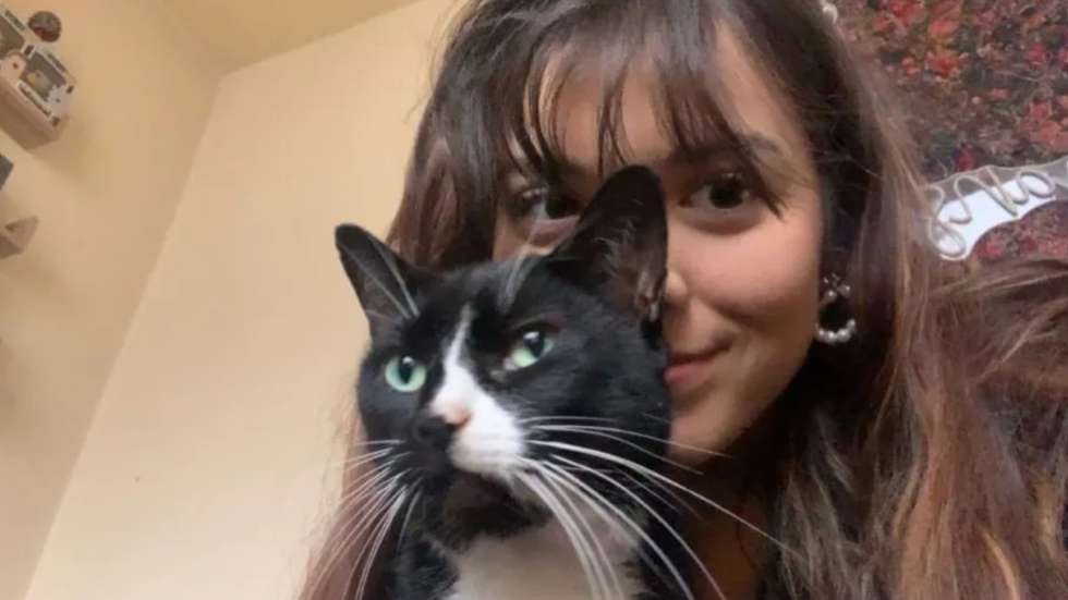 Ao todo, oito pessoas contactaram a dona da gata, três delas através do Grindr