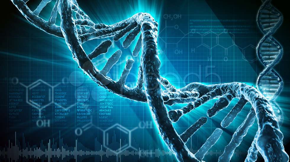 Joseph já tinha sido exumado em 1998, mas na altura os avanços na tecnologia de ADN não foram suficientes para o identificar