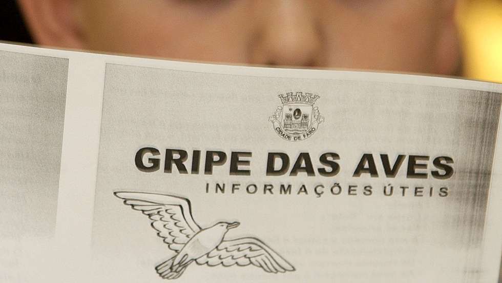 Uma crianca da escola primaria da ilha da Culatra le atentamente um folheto informativo sobre a gripe das aves, inserido na sessao de esclarecimento levada a cabo hoje, quarta feira,22 de marco de 2006, pela camara de Faro e do parque natural da Ria Formosa.FOTO LUIS FORRA/ LUSA