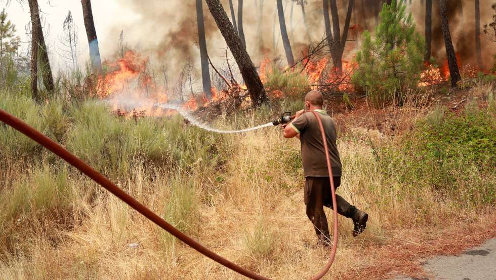 Um popular combate as chamas durante o incêndio de grandes proporções que começou há quatro dias no concelho de Trancoso e que passou para o concelho de Fornos de Algodres, distrito da Guarda, em Queiriz, 13 de agosto de 2025. O incêndio que lavra desde sábado em Trancoso, distrito da Guarda, sofreu uma reativação durante a madrugada por causa da trovoada e obrigou a um reforço de meios no terreno, segundo a proteção civil. MIGUEL PEREIRA DA SILVA/LUSA