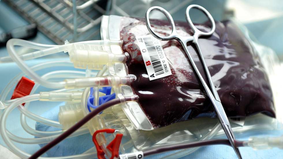 O apelo para a dádiva de sangue é feito a "todas as pessoas saudáveis com mais de 18 anos, com mais 50 quilogramas de peso e menos de 65 anos"