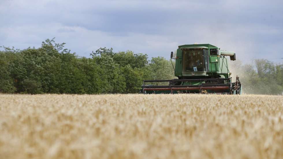epa10030709 Ukrainian farmers harvest barley in Odesa area, Southern Ukraine, 23 June 2022. The Food and Agriculture Organization (FAO) of the United Nations said in its 10 June note assessing the risks emanating from the conflict in Ukraine that 'the current war raises concerns over whether crops will be harvested. It has already led to the closures of ports and oilseed crushing operations, affecting products intended for the export markets. These are taking a toll on the country's exports of grains and vegetable oils. On 24 February Russian troops entered Ukrainian territory starting a conflict that has provoked destruction and a humanitarian crisis.  EPA/STR