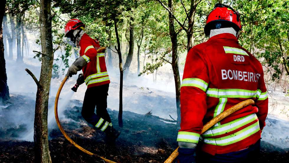 Bombeiros procedem aos trabalhos de rescaldo ao incêndio em Mões, Castro Daire, Viseu, 19 de setembro de 2024. Sete pessoas morreram e cerca de 120 ficaram feridas nos incêndios que atingem desde domingo sobretudo as regiões Norte e Centro do país, nos distritos de Aveiro, Porto, Vila Real, Braga, Viseu e Coimbra, e que destruíram dezenas de casas e obrigaram a cortar estradas e autoestradas. MIGUEL PEREIRA DA SILVA/LUSA