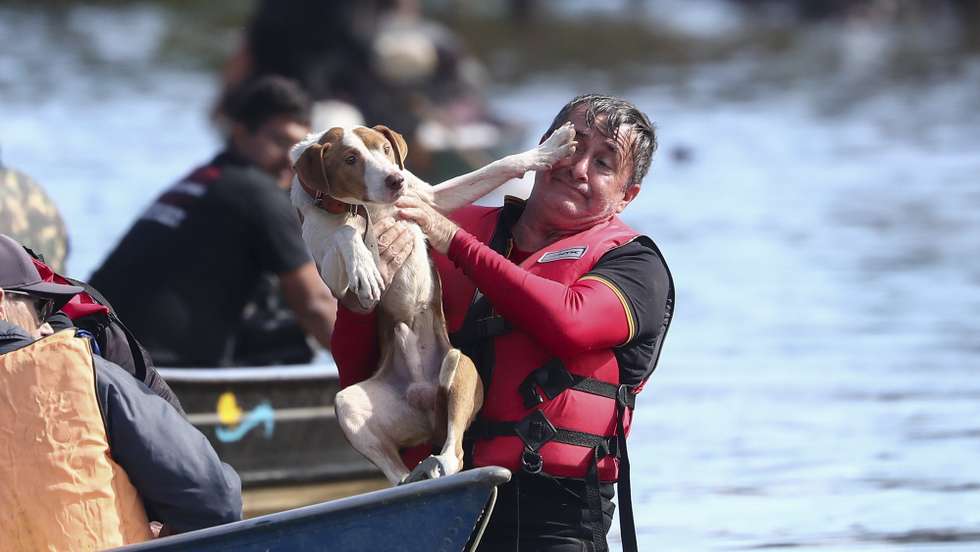 epaselect epa11340851 Volunteers rescue a dog in the flood waters of the Gravatai River, in the Matias Velho neighborhood, in Canoas, north of Porto Alegre, Brazil, 14 May 2024. The Government of the state of Rio Grande do Sul warned this 14 May that the GuaÃ­ba River could break the historical record reached last week, due to the heavy rains that fell in recent days. The worst floods in memory in the region have already caused more than 600,000 displaced people, 149 dead and 127 missing.  EPA/Sebastiao Moreira