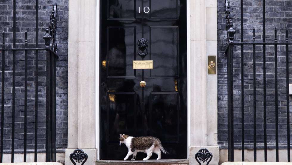epa12646466 Larry, the Downing Street cat, roams after a cabinet meeting of the UK government at 10 Downing Street in London, Britain, 13 January 2026.  EPA/TOLGA AKMEN