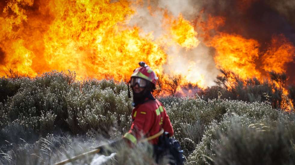 Planos prorrogados garantem gestão integrada e prevenção de incêndios nas florestas portuguesas