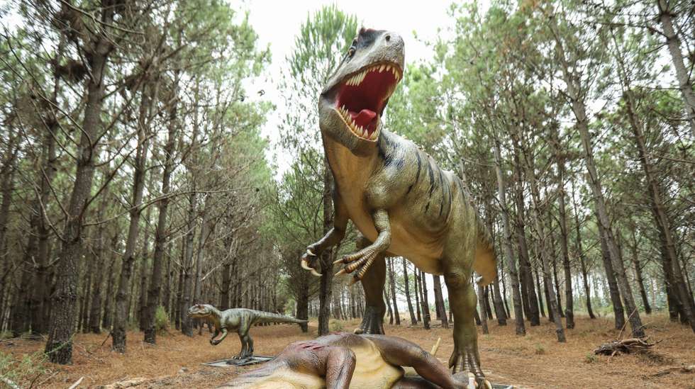 Réplicas de dinossauros que podem ser vistas no Dino Parque da Lourinha onde estão desde segunda-feira a ser montados uma centena de dinossauros e decorrem obras de construção de um espaço museológico para expor os achados de dinossauro descobertos no concelho. O Dino Parque tem prevista abertura para o inicio de 2018. Lourinhã, 5 de setembro de 2018. (ACOMPANHA TEXTO)MIGUEL A. LOPES/LUSA