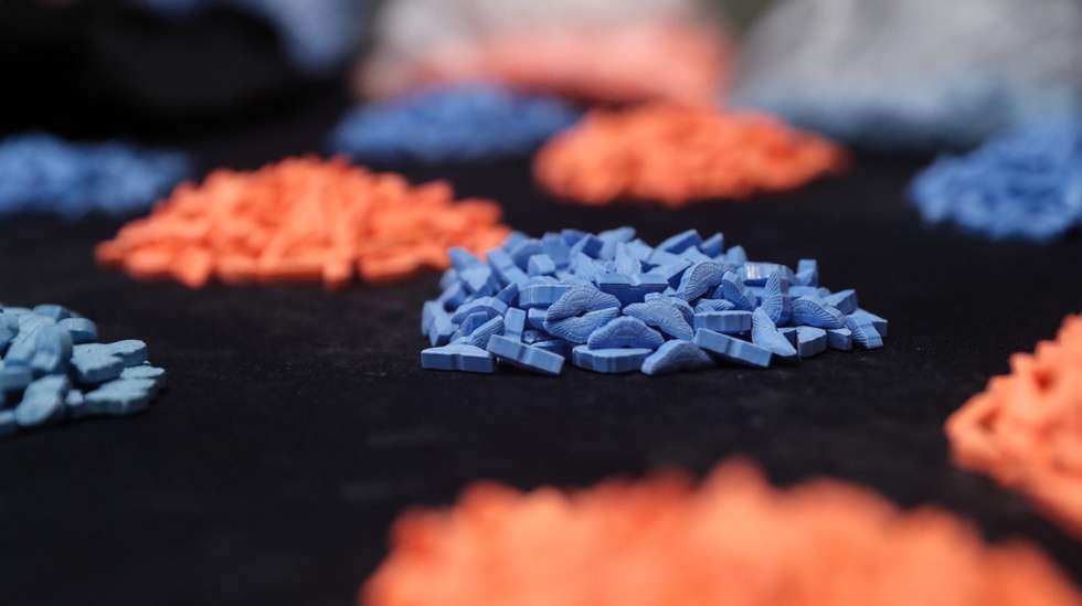 Eram na maioria solteiros, com histórico no consumo de drogas e do concelho do Funchal