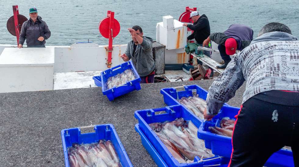 Pescadores descarregam da sua embarcação caixas com lulas no porto de Rabo de Peixe, que continua em atividade, mesmo com as regras de confinamento devido à pandemia da covid-19, Ribeira Grande, ilha de São Miguel, Açores, 07 de abril de 2020. Em Rabo de Peixe, a maior comunidade piscatória dos Açores, a população começa a cumprir as regras do confinamento, mas as ruas enchem-se de homens que continuam a ir ao mar. (ACOMPANHA TEXTO DO DIA 08 DE ABRIL DE 2020). EDUARDO COSTA/LUSA
