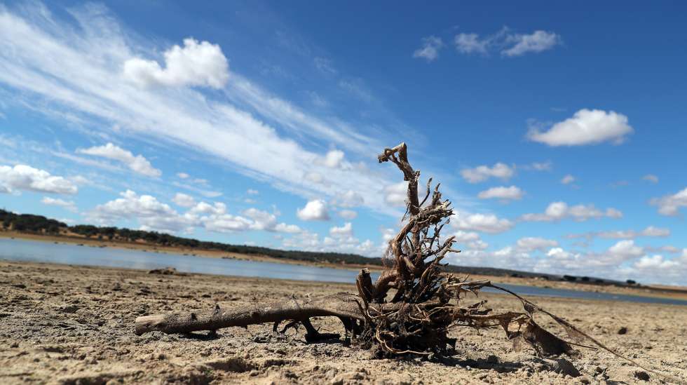 Margem da barragem do Caia, que tem atualmente um volume de 91.935 mil metros cúbicos de água, o que representa 48,39%, em relação à cota de descarga da barragem (190 milhões de metros cúbicos). De acordo com o índice PDSI, no último mês agravou-se a situação de seca meteorológica em todo o território, com um aumento muito significativo da área em seca severa, estando agora grande parte do território nessa classe. Elvas, 21 de junho de 2022. NUNO VEIGA / LUSA