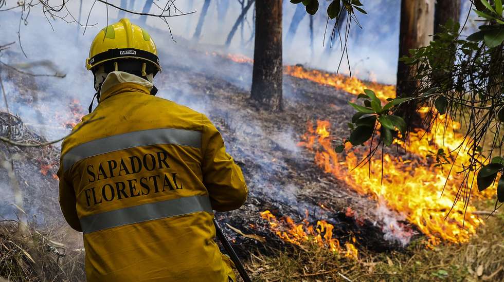 O fogo deixou marcas de destruição nos locais por onde passou durante o incêndio que começou em Abiul, Pombal, na passada sexta-feira, Cavadas da Macieira, Ansião, 14 de julho de 2022. PAULO NOVAIS/LUSA