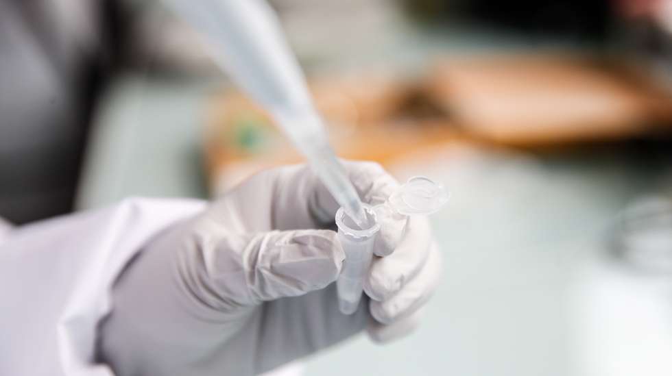 epa10790667 Paraguayan researcher Alejandra Wu-Chuang uses a pipette for antibody detection in a laboratory at the campus facilities of the ANSES (French Agency for Food, Environmental and Occupational Health and Safety) in Maisons Alfort, on the outskirts of Paris, France, 07 August 2023 (08 August 2023). Tick-borne pathogens can be passed to animals and humans by the bite of infected ticks with bacteria, viruses, or parasites. One major example of tick-borne disease is borreliosis (Lyme disease). A team of researchers from INRAE (National Research Institute for Agriculture, Food and Environment)​​, in collaboration with ANSES and ENVA (National Veterinary School of Alfort), are proposing an innovative vaccine targeting the microbiota of ticks in order to reduce the prevalence of bacterium that causes the Lyme disease. There is still no human vaccine for the infection, however scientists are producing new medicines to fend off the illness.  EPA/TERESA SUAREZ