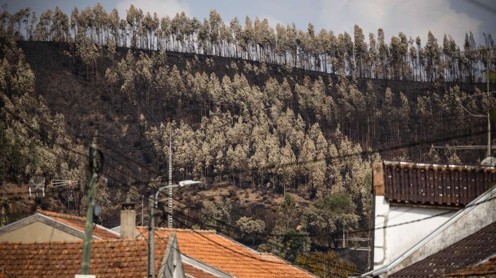 Área ardida na zona de Albergaria, Aveiro, 20 de setembro de 2024. Sete pessoas morreram e 177 ficaram feridas devido aos incêndios que atingiram desde domingo sobretudo as regiões Norte e Centro do país e destruíram dezenas de casas. A área ardida em Portugal continental desde domingo ultrapassa os 124 mil hectares, segundo o sistema europeu Copernicus, que mostra que nas regiões Norte e Centro já arderam mais de 116 mil hectares, 93% da área ardida em todo o território nacional. JOSÉ COELHO/LUSA