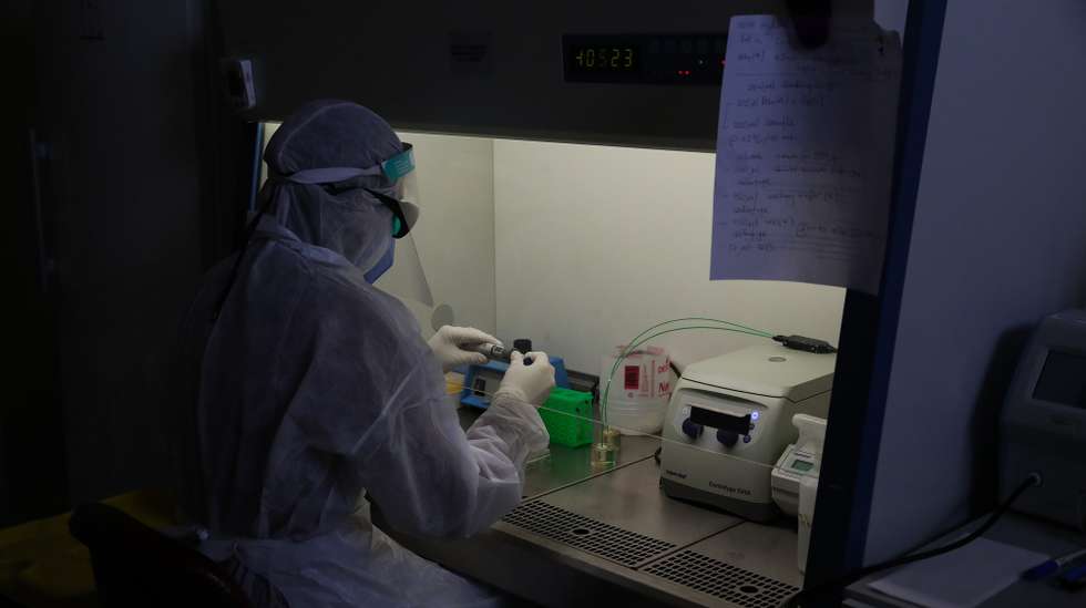 Uma investigadora trabalha num dos laboratórios do consórcio liderado pela LaserLeap, que trabalhava em tecnologias e que procura desenvolver uma terapia fotodinâmica para ‘atacar’ o novo coronavírus numa fase precoce de contágio usando medicamentos e raios laser. A LaserLeap é uma das empresas incubadas no Instituto Pedro Nunes, de Coimbra, que decidiram adaptar-se à covid-19 e procurar soluções que possam contribuir para o combate à pandemia, Figueira da Foz, 23 de fevereiro de 2021. (ACOMPANHA TEXTO DE 28/02/2021) PAULO NOVAIS/LUSA