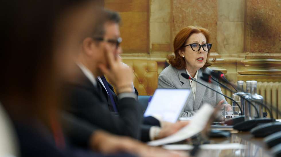 A ministra do Ambiente e Energia, Maria da Graça Carvalho, intervém durante a sua audição perante a Comissão de Ambiente e Energia, na Assembleia da República, em Lisboa, 05 de março de 2025. ANTÓNIO PEDRO SANTOS/LUSA