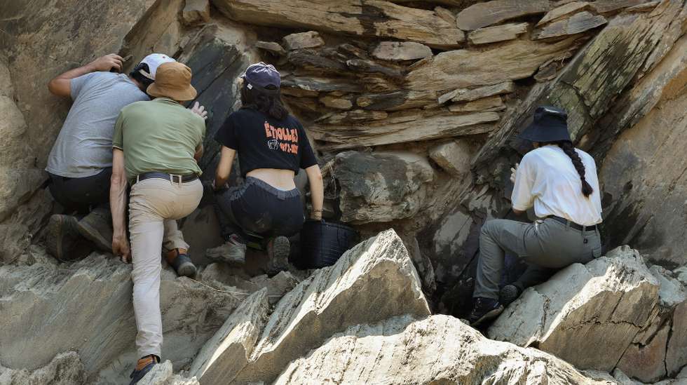 Um grupo de arqueólogos está a proceder a novas sondagens no Parque Arqueológico do Vale do Côa, que têm por objetivo verificar incidentes que de certa forma quebram a continuidade deste santuário de milhares de anos da arte rupestres ao longo das ultimas décadas, Vila Nova de Foz Côa, 9 de julho de 2025. Segundos os especialistas, tudo terá a ver com explorações do xisto para as vinhas e construção civil. As sondagens estão em curso no sitio de Penascosa, em Vila Nova de Foz Côa e há já algumas conclusões. (ACOMPANHA TEXTO da luda de 12-07-2025) FRANCISCO PINTO/LUSA