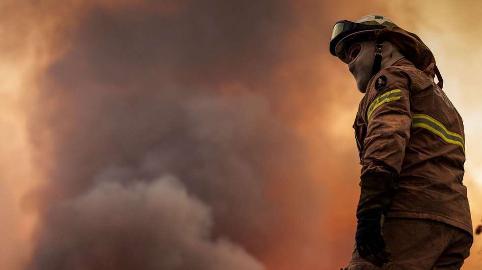 Um bombeiro durante o combate um incêndio em Sabrosa, Vila Real, 16 de julho de 2025. O vento forte e irregular que provoca várias projeções está a dificultar o combate ao incêndio que lavra em Souto Maior, Sabrosa, e que pelas 22:00 mobilizava 368 operacionais e 115 meios terrestres, segundo a página da ANEPC - Autoridade Nacional de Emergência e Proteção Civil. PEDRO SARMENTO COSTA