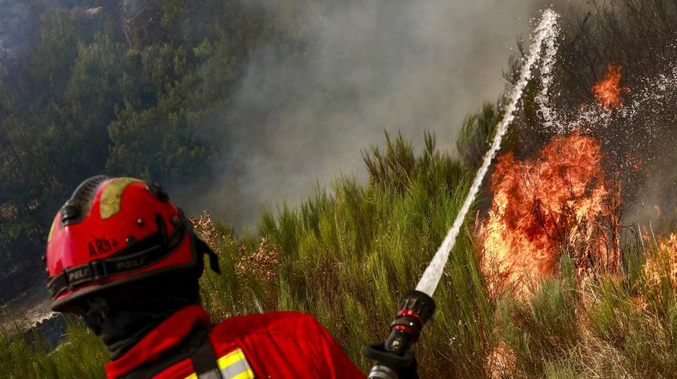 Um bombeiro combate as chamas durante o incêndio de grandes proporções que lavra há três dias no concelho de Trancoso, em Aldeia Velha, 11 de agosto de 2025. O incêndio rural que lavra desde a tarde de sábado, no concelho de Trancoso, já terá consumido 8.000 hectares, sobretudo soutos, olivais e vinhas, de acordo com o presidente da Câmara, Amílcar Salvador. MIGUEL PEREIRA DA SILVA/LUSA