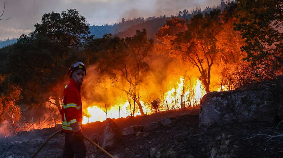 Um bombeiro combate incêndio florestal