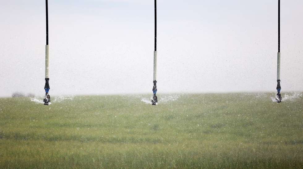 Um pivô rega um campo com cevada dística, na herdade de Augusto Casadinho (ausente na imagem), hoje proprietário da Herdade da Chaminé com cerca de 370 hectares, em Santa Vitória, Beja, 17 de abril de 2024. Tinha 13 anos quando a propriedade então do seu pai foi ocupada no início da Reforma Agrária.  (ACOMPANHA TEXTO DE 24-04-2024) NUNO VEIGA/LUSA