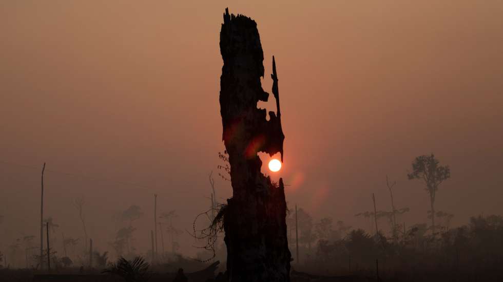 epa12200408 (FILE) -View of the smoke and dust left by the fires in the Amazon rainforest, near Porto Velho, Brazil, 29 August 2019 (reissued 27 June 2025). The UN International Day of the Tropics, on 29 June, is observed to raise awareness of the diversity and extraordinary challenges faced by the world’s tropical regions  EPA/JOEDSON ALVES *** Local Caption *** 55426262