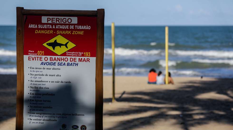 epa09416663 A sign reads 'swimming forbidden. Danger area for shark attacks' at Jaboatao dos Guararapes in Brazil, 12 August 2021 (issued 16 August 2021). Shark attacks in Boa Viagem, Piedade and Candeias in Brazil have been a danger during the last 30 years, and back in July 2021 two new cases were reported, one of them had a fatal ending. But different from what anyone might think, and despite warnings, the number of tourists visiting the area in the look for sharks continues to increase.  EPA/Diego Nigro