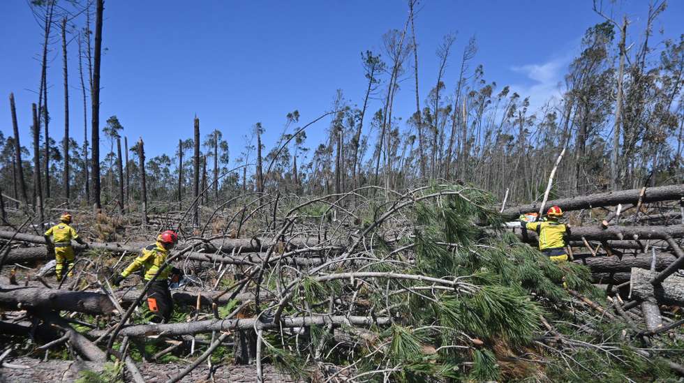 Resultados da Tempestade Kristin
