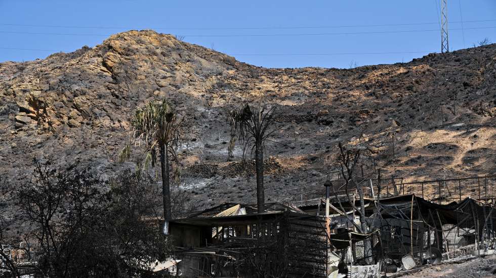 epa13104254 View of the burnt land after the Los Gallardos fire in Beda village, Almeria, southern Spain, 11 July 2026. The fire has left 12 people dead and more than 6,600 hectares burnt.  EPA/CARLOS BARBA