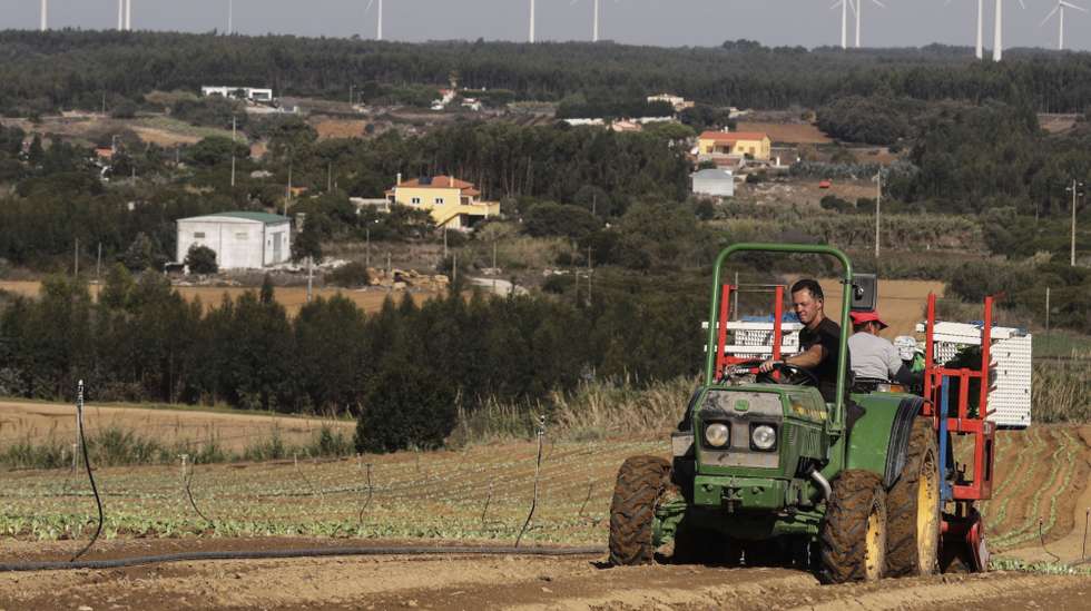 Agricultores trabalham num campo recém-plantado com couves numa produção agrícola na zona da Lourinhã, 28 de outubro de 2021. O aumento do preço dos combustíveis tem influenciado negativamente toda a cadeia de produção agrícola nacional. (ACOMPANHA TEXTO DA LUSA DO DIA 07 DE NOVEMBRO DE 2021). TIAGO PETINGA/LUSA