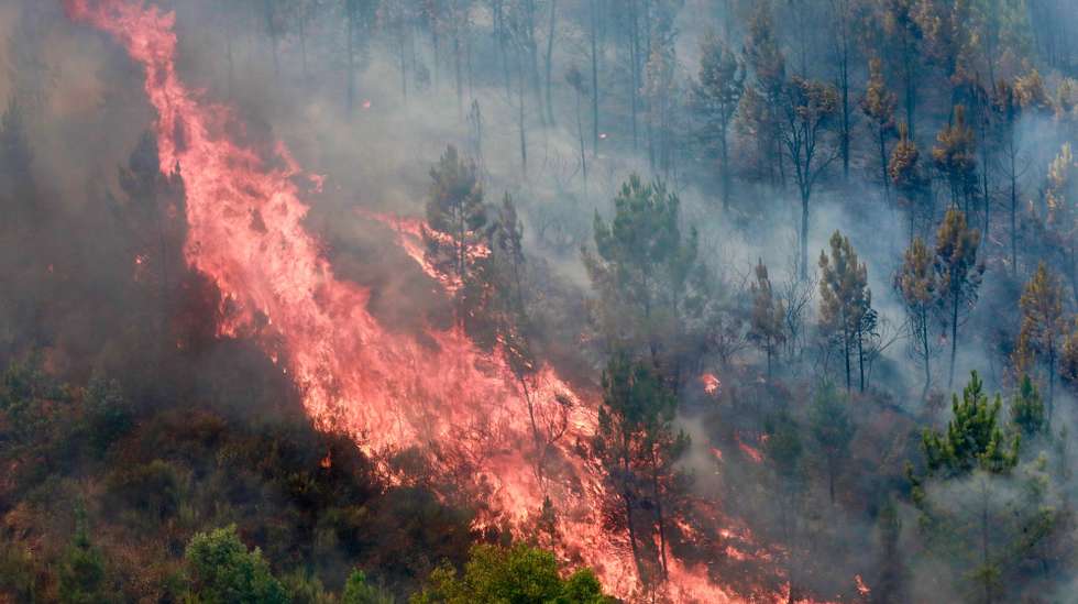 epa12308108 A forest fire that started five days ago near the Aldeia de Piodao, in Arganil, spreads to Ourondo, in Fundao, Portugal, 18 August 2025. Forest fires have burned in Portugal 185.753 hectares to date, causing two deaths, including a firefighter, and several injuries, most of them minor, and completely or partially destroyed primary and secondary residences, as well as farms, livestock operations, and forest areas.  EPA/MIGUEL PEREIRA DA SILVA