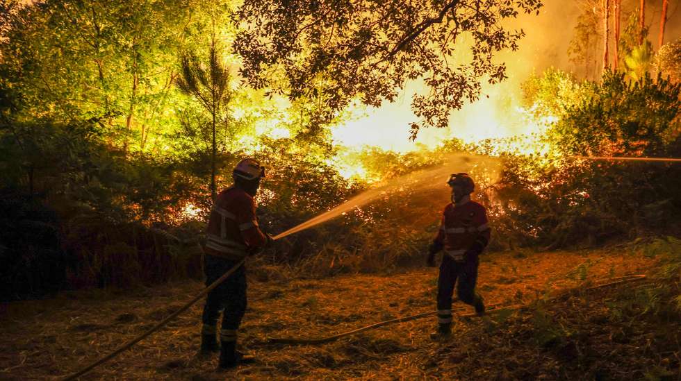 Firefighters during a forest fire in Pedrogao Grande, Leiria, Portugal, 23 August 2025. The two fires that are currently consuming forest in Pedrogao Grande have already reached the municipality of Sertã, with various resources being deployed in both areas to combat the fire, Civil Protection told Lusa. At 10 p.m., 912 firefighters supported by 289 vehicles were fighting the two fires. PAULO NOVAIS/LUSA