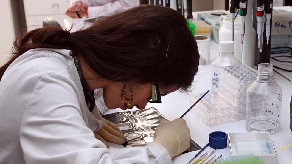 Estudo é desenvolvido por uma equipa do Centro de Neurociências e Biologia Celular da Universidade de Coimbra e do GeneT
