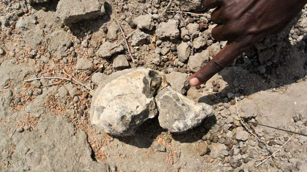 Em 2009, a equipa de Haile-Selassie descobriu oito ossos do pé de um antepassado humano no sítio arqueológico de Woranso-Mille, na região central de Afar, na Etiópia