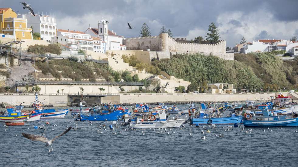 Vista do Porto de Pesca sobre a cidade de Sines, 3 de novembro de 2017. TIAGO CANHOTO /LUSA
