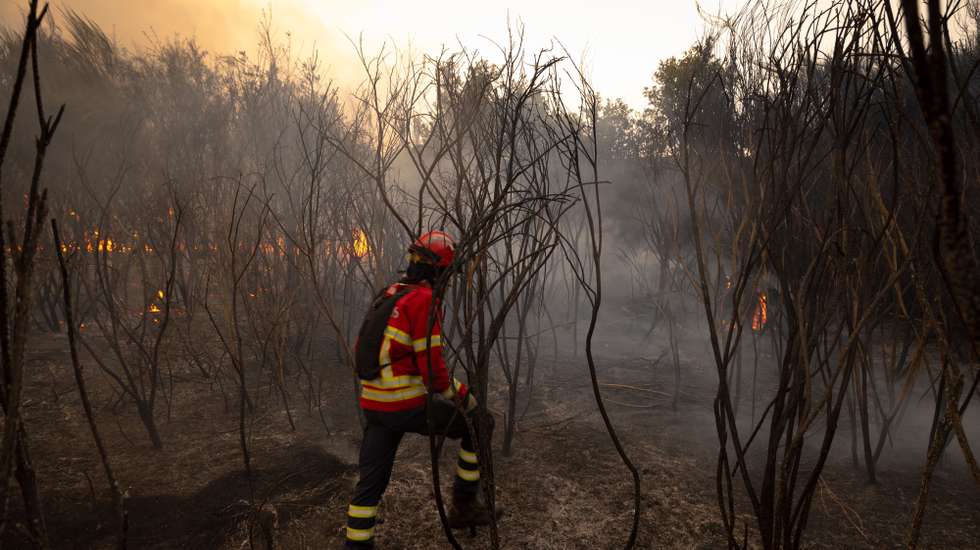 Bombeiros combatem um incêndio em Raiz do Monte, Vila Pouca de Aguiar, 19 de Setembero de 2024. Sete pessoas morreram e cerca de 120 ficaram feridas nos incêndios que atingem desde domingo sobretudo as regiões Norte e Centro do país, nos distritos de Aveiro, Porto, Vila Real, Braga, Viseu e Coimbra, e que destruíram dezenas de casas e obrigaram a cortar estradas e autoestradas. PEDRO SARMENTO COSTA/LUSA