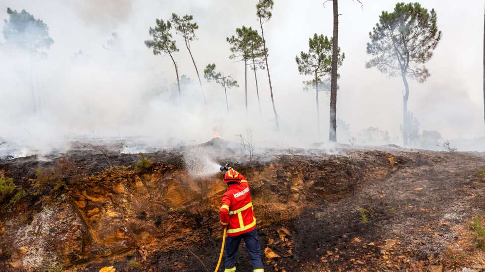 epa12273289 A firefighter tries to extinguish a forest fire in Melres, Portugal, 30 July 2025. The villages of Montezelo and Altocentro, in Melres, in the municipality of Gondomar, are threatened by flames from the fire that started on 29 July in Penafiel.  EPA/DIOGO BAPTISTA