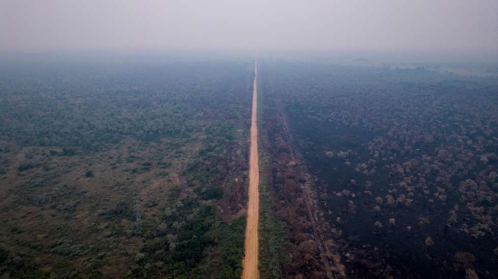 epa10987890 Aerial view of burnt vegetation after a large fire along the MS-184 highway in the Brazilian Pantanal, in the city of Corumba, Brazil, on 19 November 2023 (issued 21 November 2023). The Brazilian Environmental Police are now searching for signs of animal life after fires raging in the Pantanal devastated large areas of the largest wetland on the planet.  EPA/ISAAC FONTANA  ATTENTION: This Image is part of a PHOTO SET