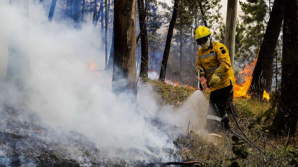 Um sapador florestal combate as chamas junto à aldeia de Rebolo, durante o incêndio que começou em Abiul, Pombal, na passada sexta-feira, Rebolo, Ansião, 14 de julho de 2022. PAULO NOVAIS/LUSA