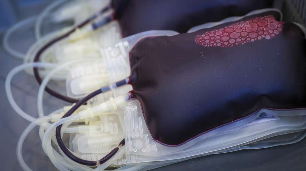 Sacos de sangue