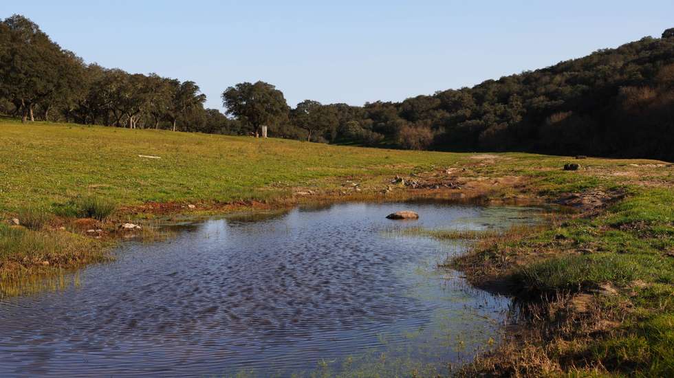 Local onde vai ser construída a barragem do Pisão, (Empreendimento de Fins Múltiplos do Crato), visitado hoje pela ministra da Agricultura e da Alimentação, Maria do Céu Antunes (ausente na imagem), Crato, 14 de fevereiro de 2023. NUNO VEIGA/LUSA