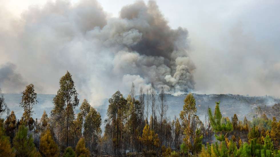 Coluna de fumo durante o incêndio que consome floresta em Ervedal da Beira, Oliveira do Hospital, 19 de setembro de 2025. O fogo que lavra desde a tarde de hoje em Oliveira do Hospital, no distrito de Coimbra, obrigou à retirada de mais de duas dezenas de pessoas das suas casas. PAULO NOVAIS/LUSA