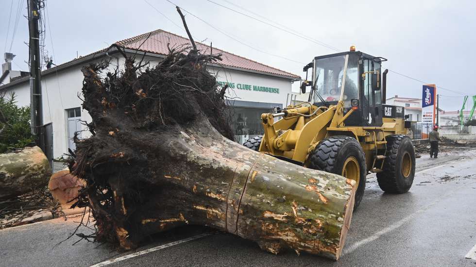 A heavy machine clean up debris on the streets of Marinha Grande, centre of Portugal, after Storm Kristin passed through Embra, Marinha Grande, 1 February  2026. The passage of Storm Kristin through mainland Portugal on Wednesday caused at least five deaths, according to Civil Protection, as well as several injuries and displaced persons. CARLOS BARROSO/LUSA