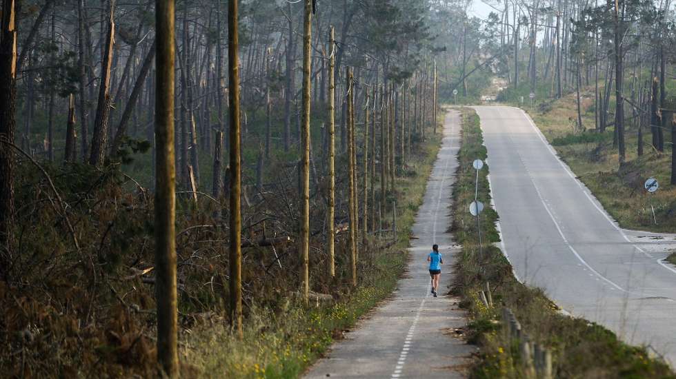 A estrada Atlântica que liga Nazaré à Praia de São Pedro de Moel, na Marinha Grande, 24 de abril de 2026. As pessoas ainda aguardam que a vida volte ao normal na zona do Pinhal de Leiria, depois da passagem da tempestade Kristin a 28 de fevereiro. (ACOMPANHA TEXTO DE 27 DE ABRIL DE 2026). CARLOS BARROSO/LUSA