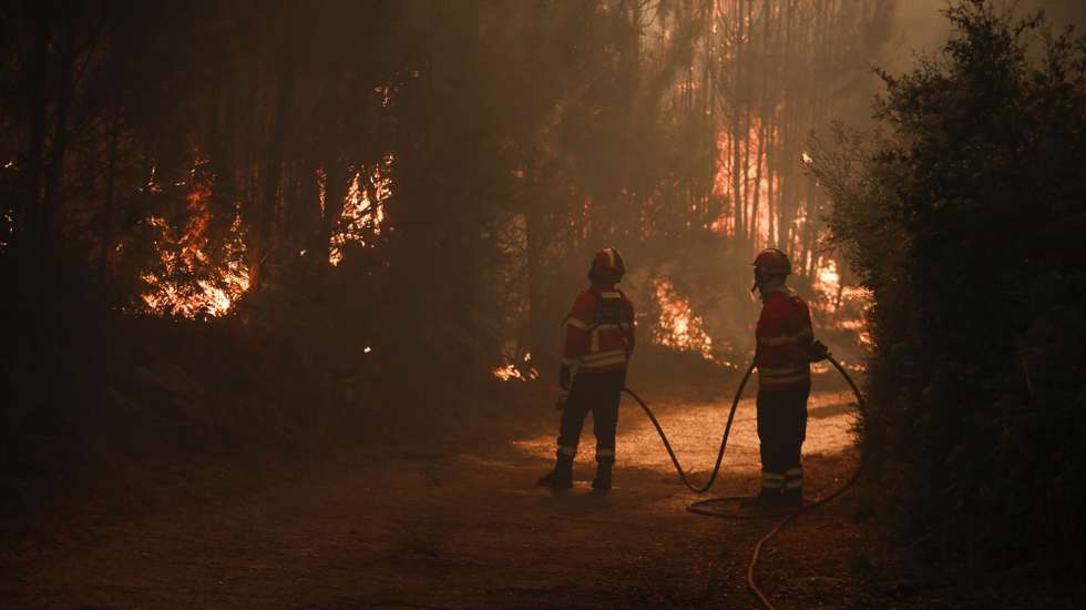 Firefighters battle the flames of the Vouzela fire in Cercosa, a parish in the municipality of Mortagua, Portugal, 4th July 2026. As of early this morning, this fire, which began 48 hours ago in Vouzela, had burnt an area of 12,160 hectares, deploying 1,161 firefighters on the ground and supported by 382 vehicles and 12 aerial resources. PAULO CUNHA/LUSA