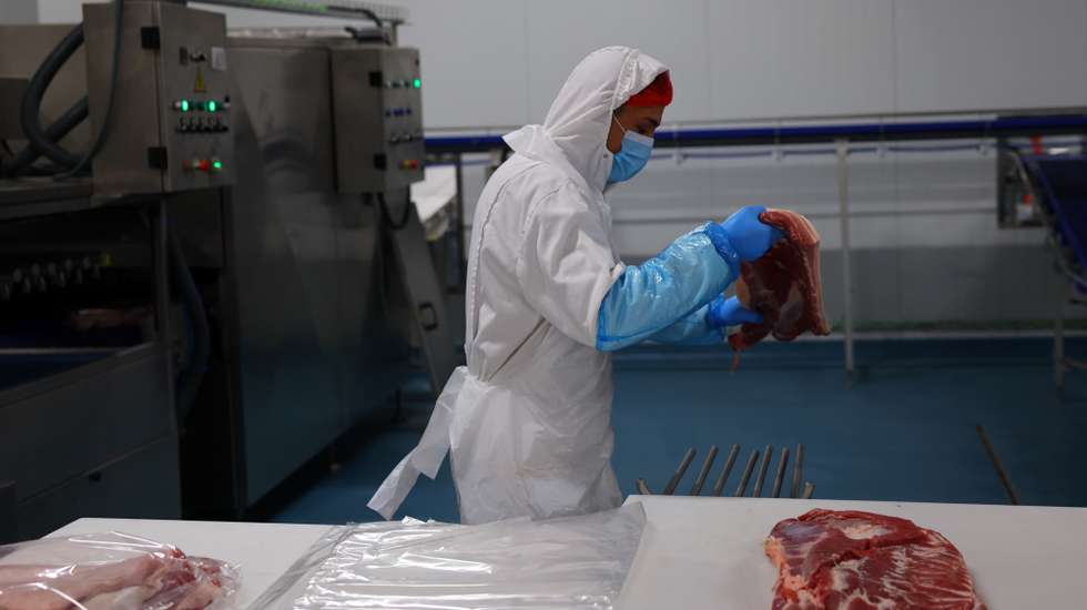 Trabalhadores na unidade agroalimentar de produção de carne de suínos da Maporal. Reguengos de Monsaraz, 28 de fevereiro de 2023. NUNO VEIGA/LUSA