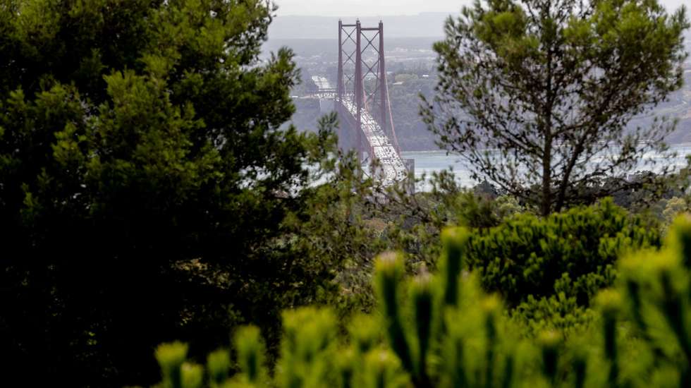 Vista da Ponte 25 de Abril de Monsanto em Lisboa, 08 de novembro de 2021. TIAGO PETINGA/LUSA